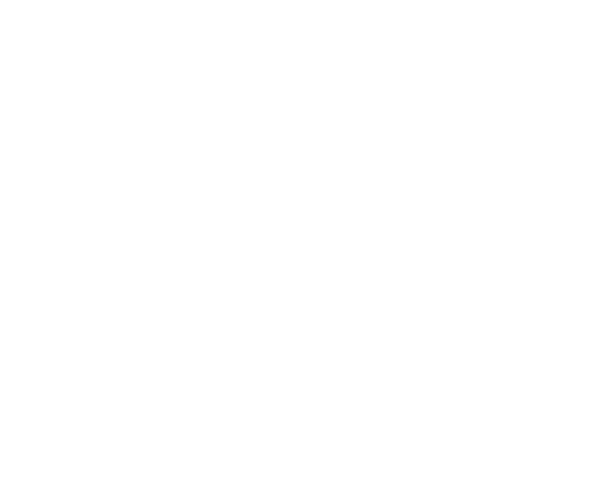 SI ERP